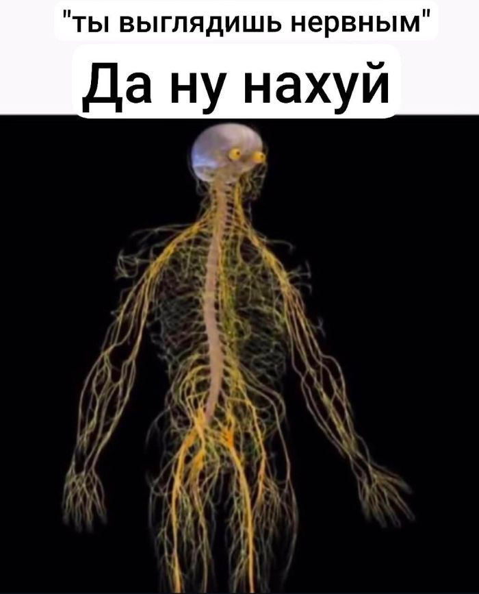 Среда – не повод для грусти! Заряжаемся позитивом с мемами и шутками! Среда – не повод для грусти! Заряжаемся позитивом с мемами и шутками! native-yes