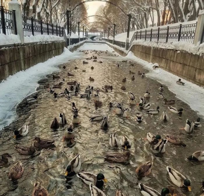 Дождались! Пятница принесла с собой не только выходные, но и порцию свежего юмора! Дождались! Пятница принесла с собой не только выходные, но и порцию свежего юмора! native-yes