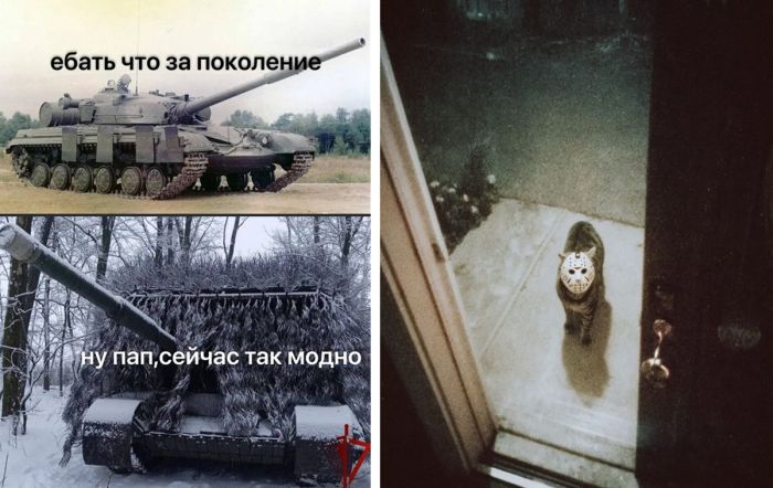 Дождались! Пятница принесла с собой не только выходные, но и порцию свежего юмора! 🤩