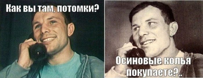 Россияне массово запасаются осиновыми кольями: от вампиров или от начальников native-yes