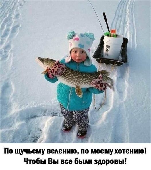 картинка 0082a954a0 20698563