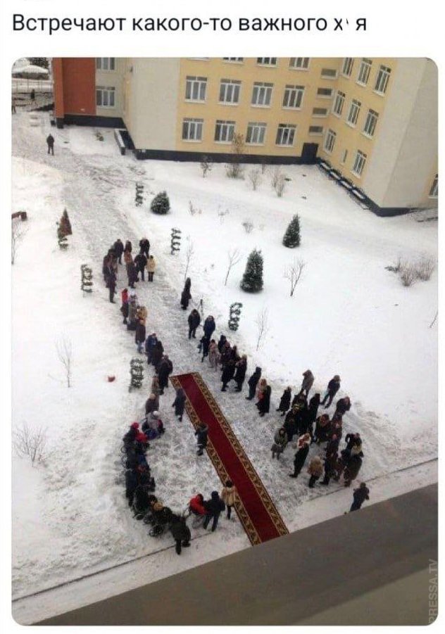 картинка 018298d9c7 20722123