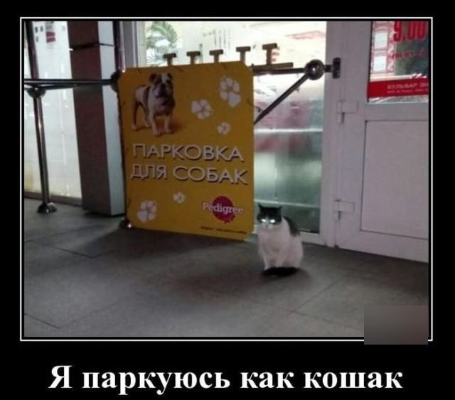 картинка 0203c03866 20765048