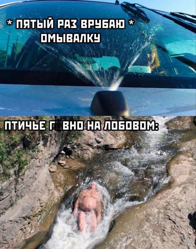 картинка 049140baa5 20722129