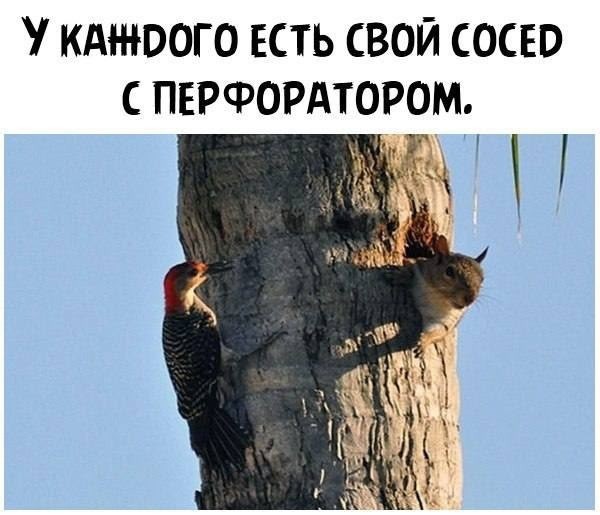 картинка 0634d17f94 20759084