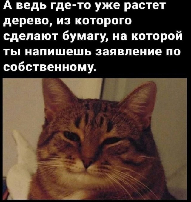 картинка 07e8213df0 20743200