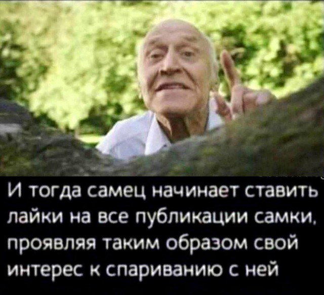 картинка 083124cff8 20720239