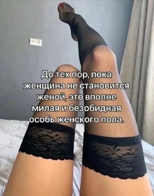 картинка 0a18a5d7c9 20740981