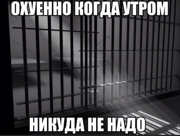 картинка 0cff4fc60c 20704874