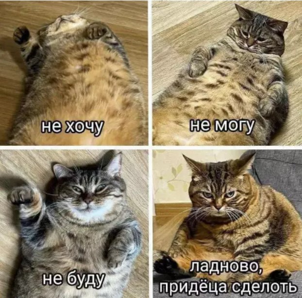 картинка 0e8ca11ca4 20701701