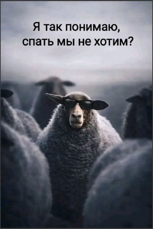 Выходные на позитиве – это реально! Встречайте новый сборник убойных мемов! native-yes