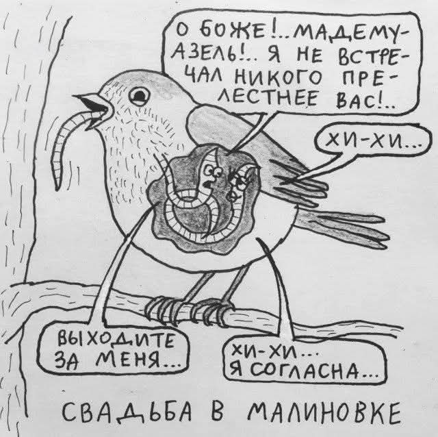 картинка 1020dc69dc ischete jumor kotoryj zastavit vas krasnet i smejatsja odnovremenno togda vam sjuda 5