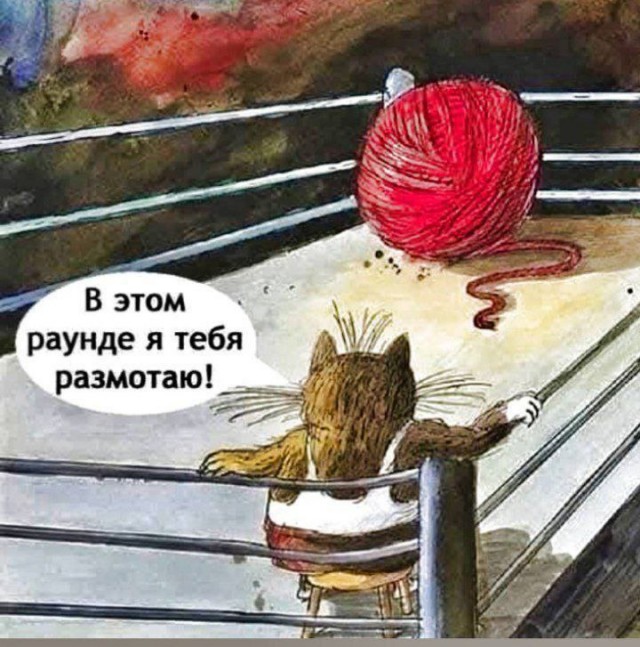 картинка 14465013f9 20782856