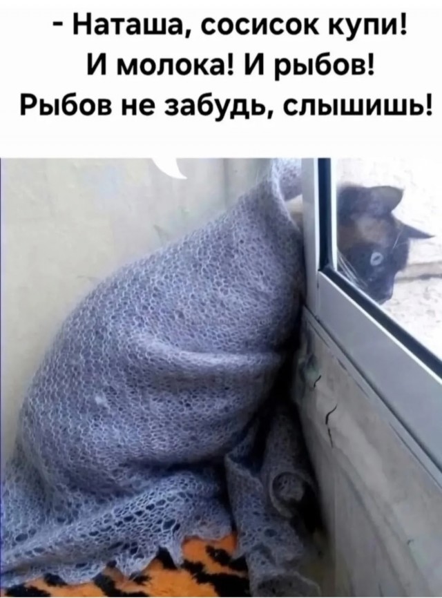 картинка 14ec5398d1 20740918