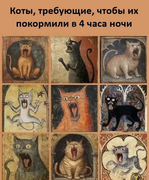 картинка 164fa66c54 20743171