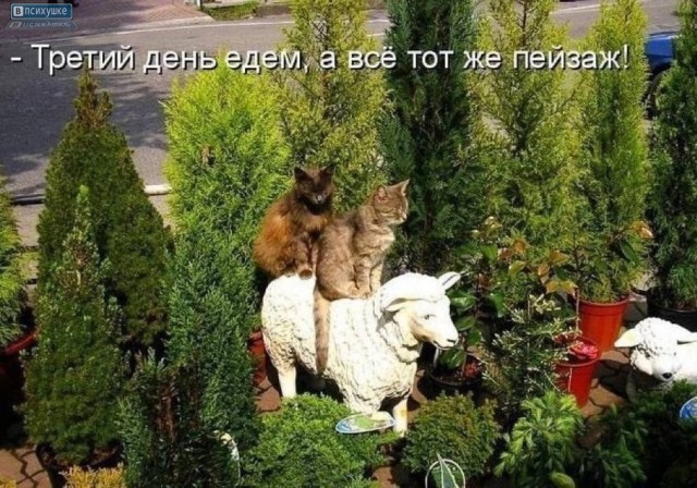 картинка 16eb44ccb9 20722003