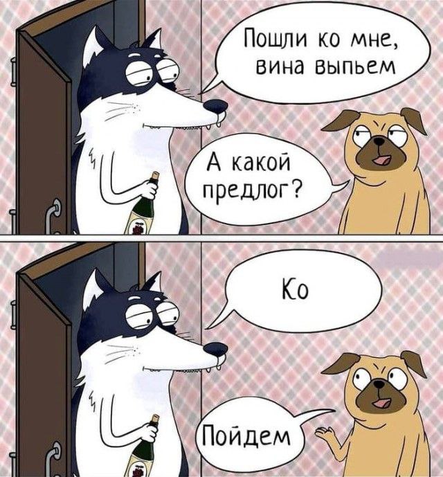 картинка 16f3204c64 20722215