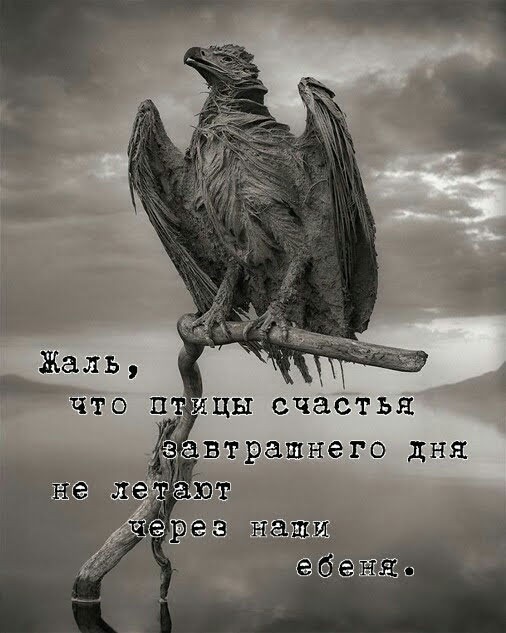 картинка 17d3258214 20704601