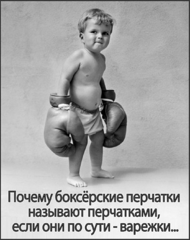 картинка 2179507d13 20759971