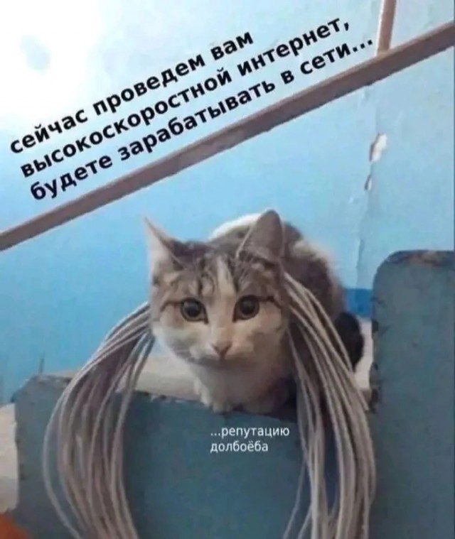 картинка 223c3f43da 20759076