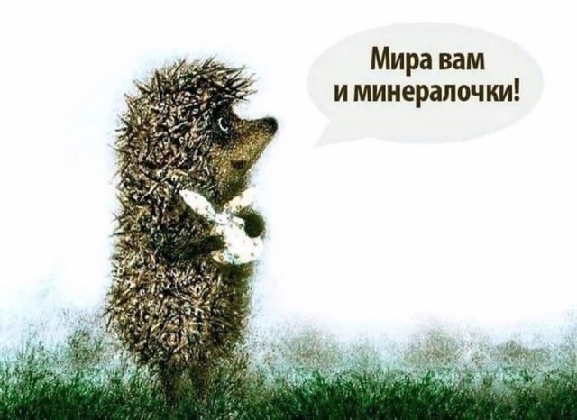 картинка 24b9026dc9 20698540