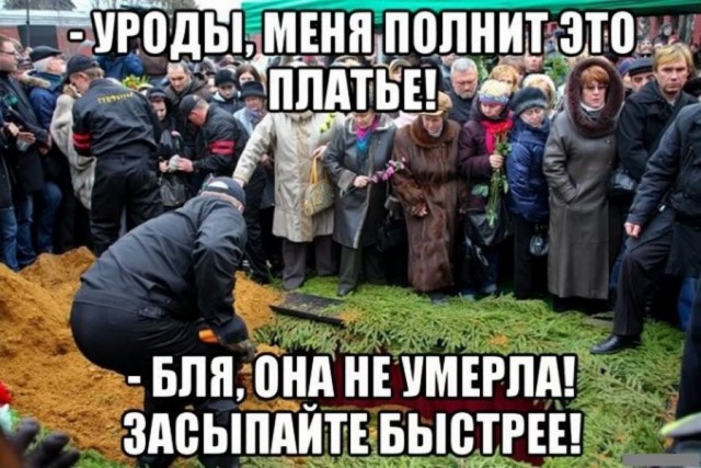 картинка 29b4ff3d55 20760130