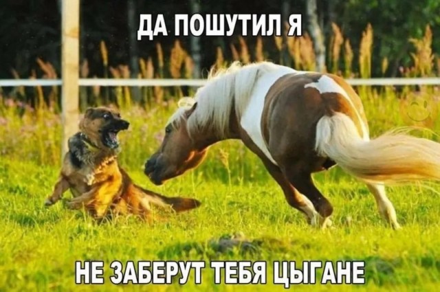 картинка 2bf10e9865 20740956