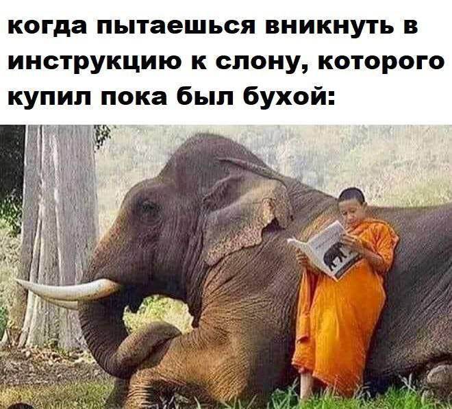 картинка 31ad6fff90 bolshoj sbornik svezhih memov i kommentariev iz socsetej vash zarjad pozitiva na ves den 15