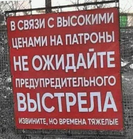 картинка 339a5d2a84 20748289