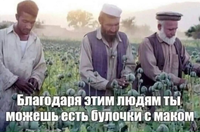 картинка 363ee02037 20760800