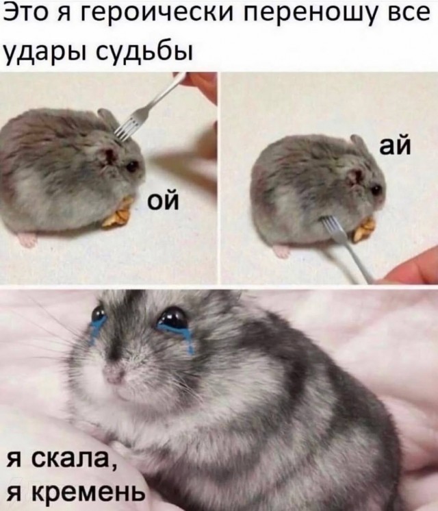 картинка 379cb2eb92 20722029