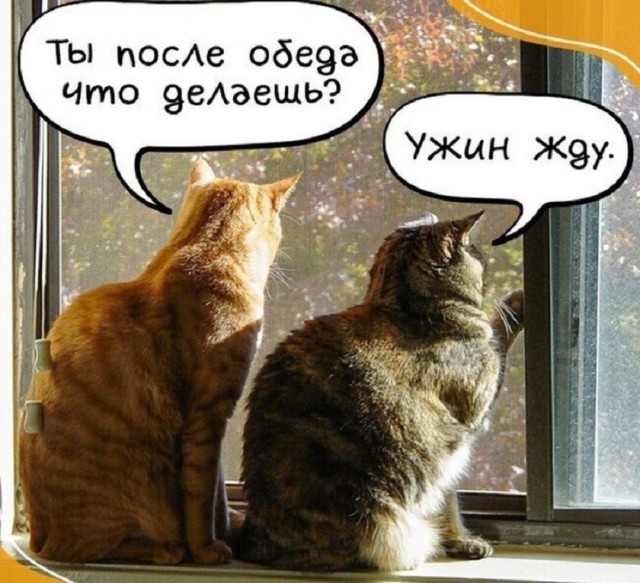 картинка 3bb689a2e5 20740937