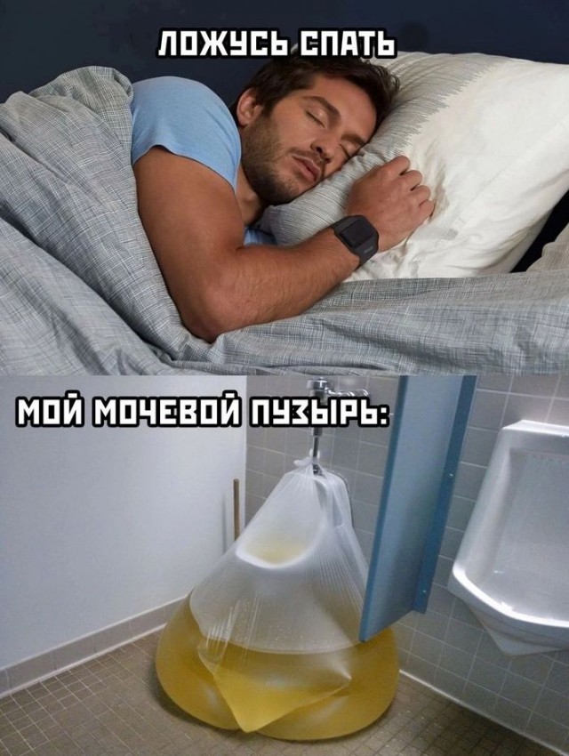 картинка 3fe5bfa710 20720232