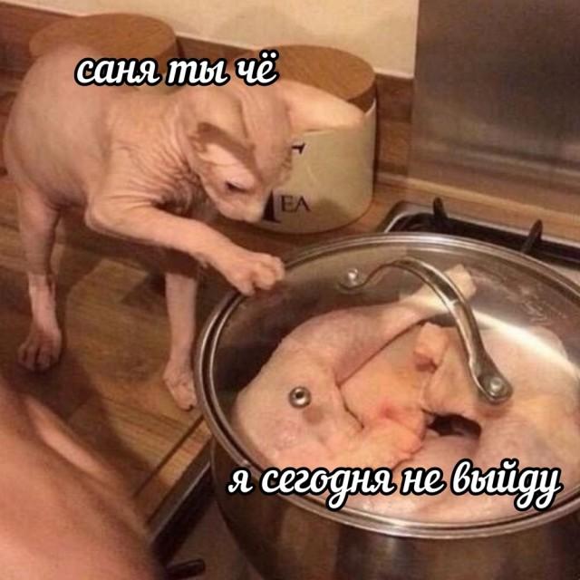 картинка 4257ce7fb1 20765030