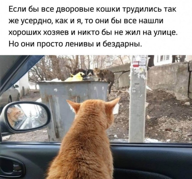 картинка 445a9eb02c 20759434