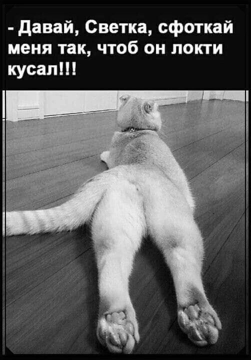 картинка 45a6a0667c 20759234