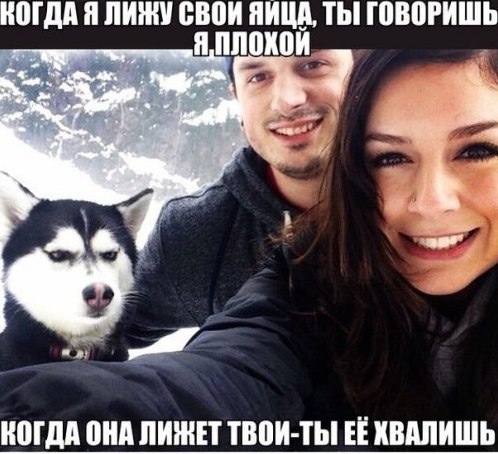 картинка 48353850fd 20765278