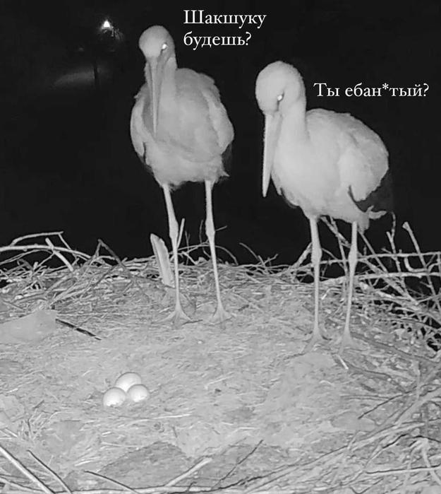 Забудьте о скуке! Откройте для себя мир смеха с нашим новым сборником приколов! Забудьте о скуке! Откройте для себя мир смеха с нашим новым сборником приколов! которые, настроение, шутки, самые, улыбка, сборник, приколов, жизнь, продлить, изменить, окружающими, отношения, Когда, улучшить, самочувствие, смеетесь, Устали, который, способен, вырабатывает