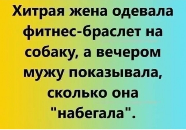 картинка 4d28c9ce2a 20740865