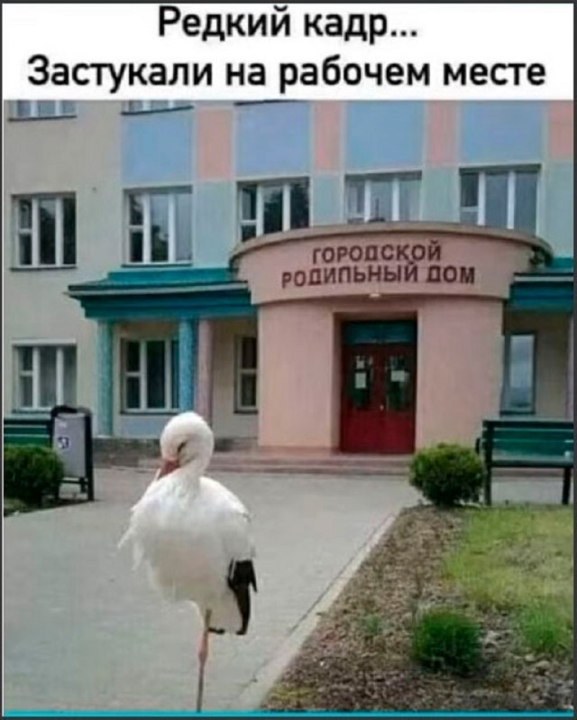 картинка 4e0c5159b6 20740927