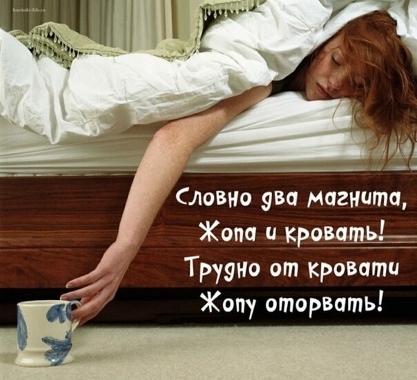 картинка 52a66bb629 20748293