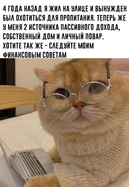 картинка 5309406932 0000000000