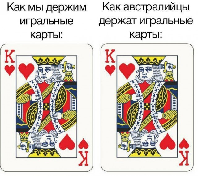 картинка 542df938da 20782854