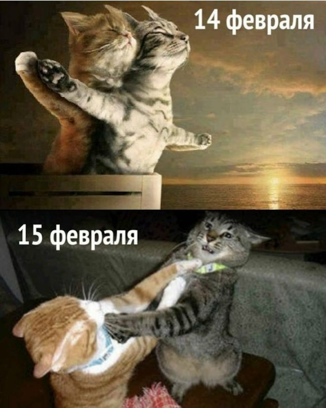 Утро начинается с улыбки: подборка самых смешных мемов и комментариев из сети! самое, которые, юмора, чтобы, Тогда, хорошим, подборку, точно, лучшее, вамНачать, забот, настроениемОтвлечься, радостью, наполнен, будет, Пусть, улыбки, позитива, поможет, который