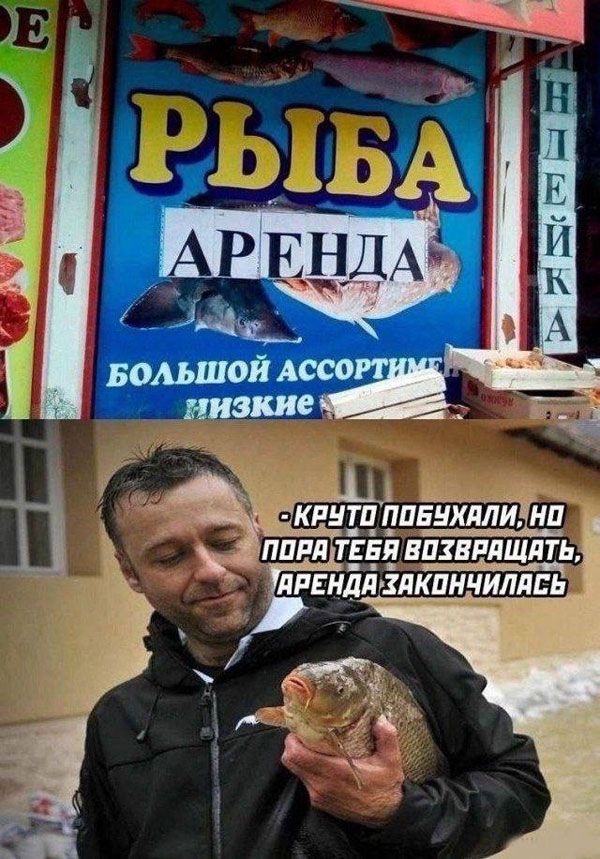 картинка 5a7375aefc ostorozhno chernyj jumor samye svezhie memy i kartinki dlja teh kto ponimaet 15