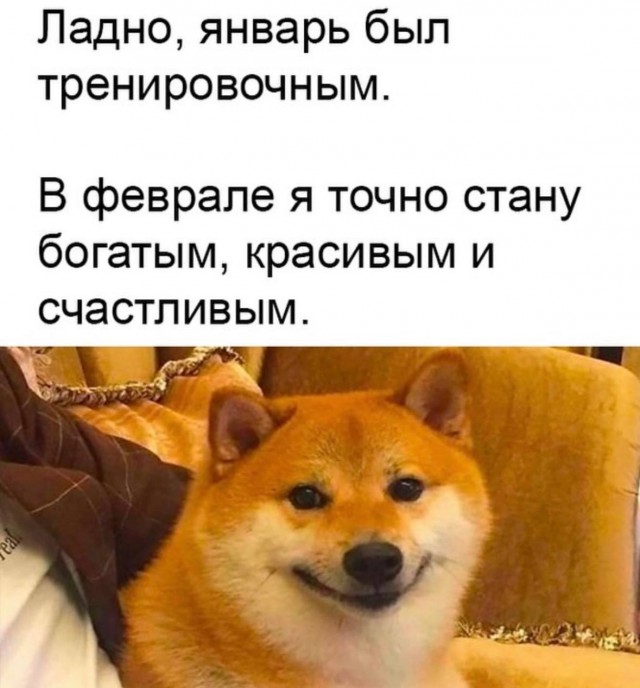 картинка 5bd02483dc 20722025