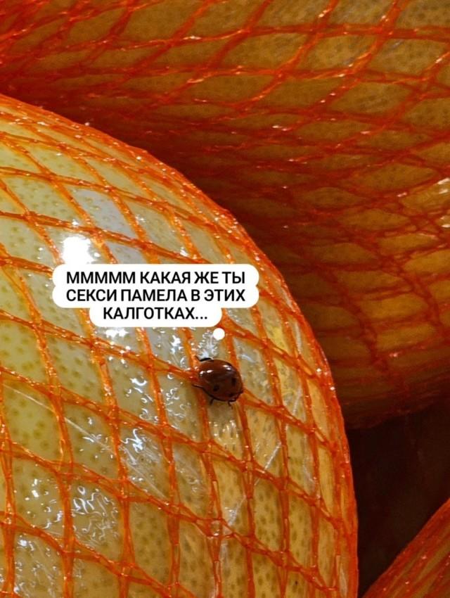 картинка 5f8b22a9cf 20765054