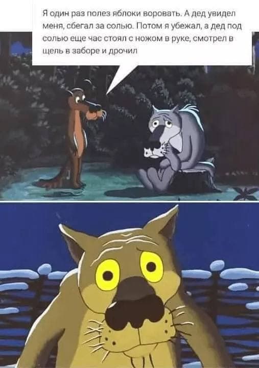 картинка 63124858ed 20739474