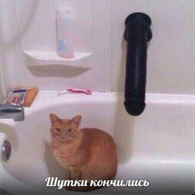 картинка 644e429673 20720445