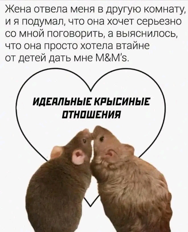 картинка 6636e33f59 zabudte o skuke my sobrali dlja vas samuju svezhuju porciju otbornyh memov i umoritelnyh kommentariev 4